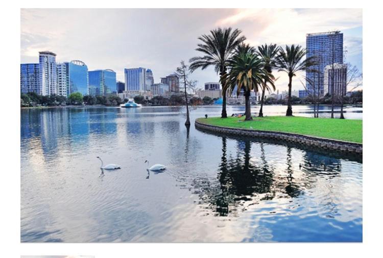 College Park-Orlando 5Star Villa Oasis - Home Away From Home - Quiet Neighborhood-Private Botanical Courtyard - Mins From Eola,Dt, Winter Park - Free Parking & Ev Plug In Esterno foto