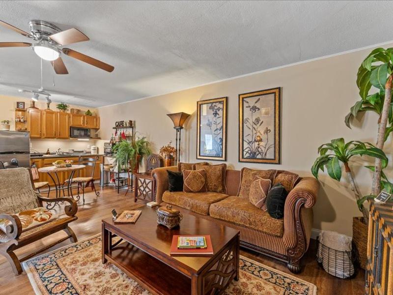 College Park-Orlando 5Star Villa Oasis - Home Away From Home - Quiet Neighborhood-Private Botanical Courtyard - Mins From Eola,Dt, Winter Park - Free Parking & Ev Plug In Esterno foto